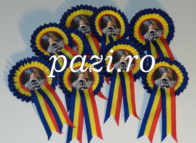 Cocarde și Insigne Tricolore – Producător Direct